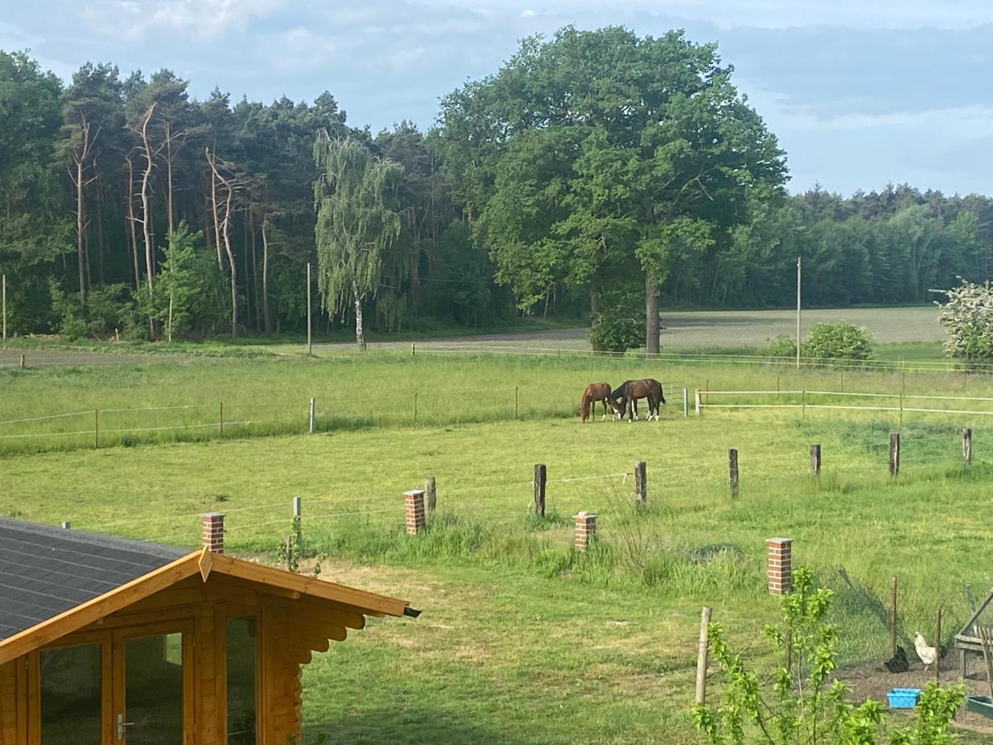 Wunderschoene Ferienwohnung Mit Balkon Auf Dem Bauernhof Greven Extérieur photo